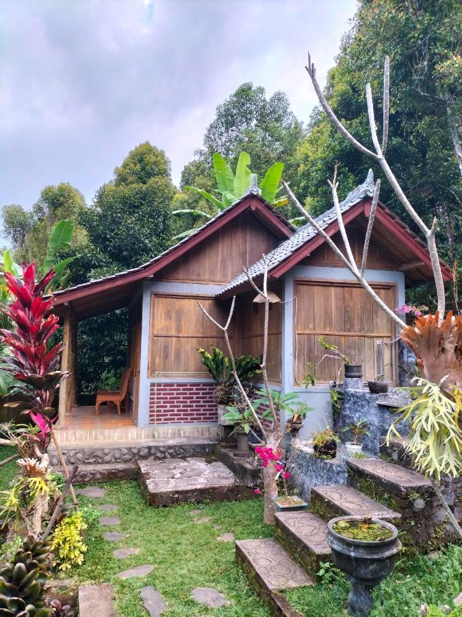 Friendly Homestay Lemukih Singaraja Екстериор снимка