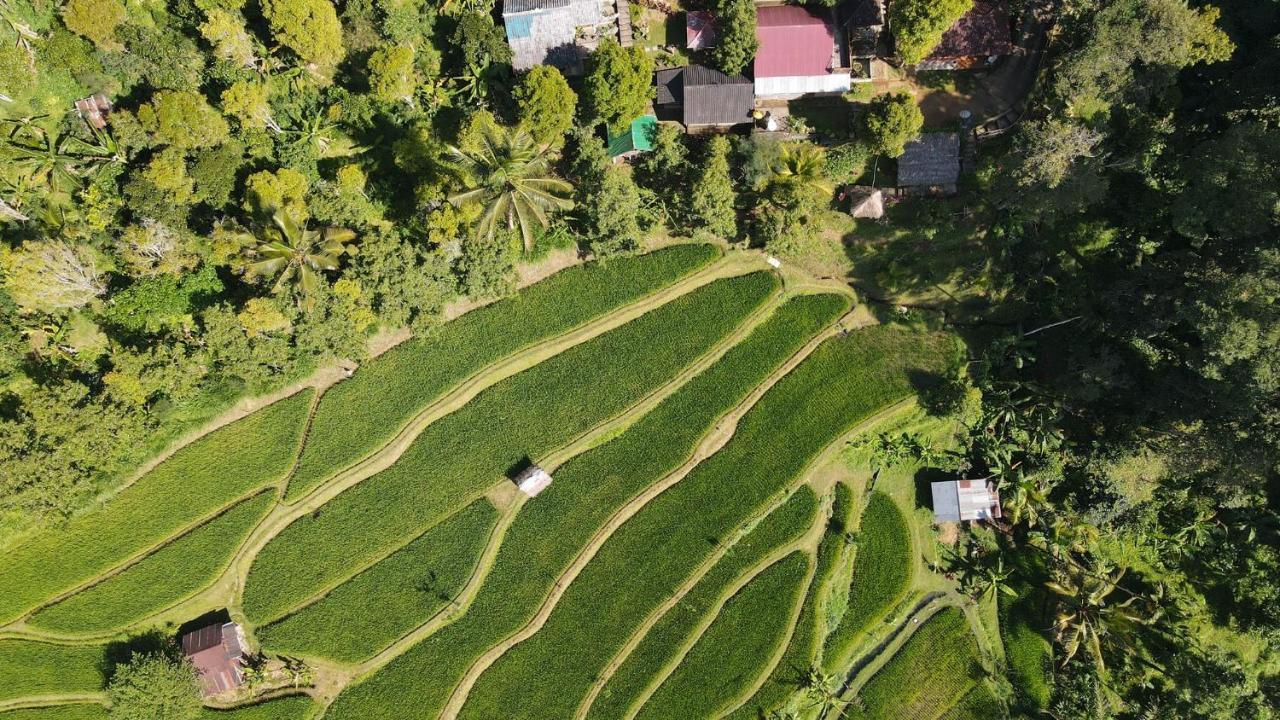 Friendly Homestay Lemukih Singaraja Екстериор снимка