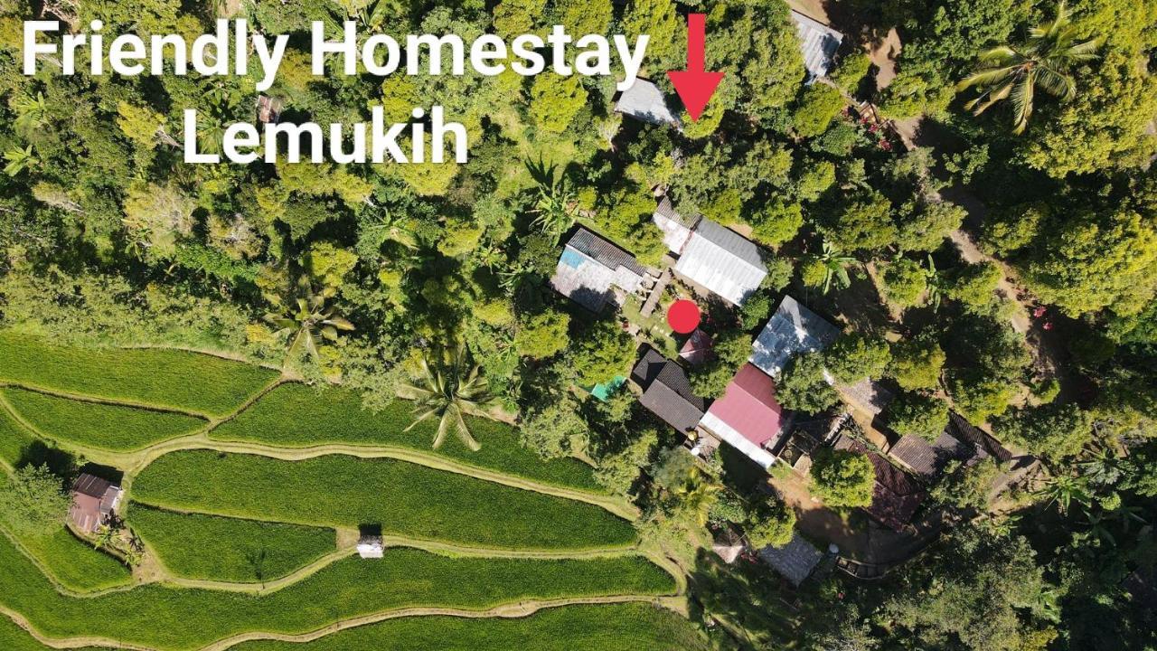 Friendly Homestay Lemukih Singaraja Екстериор снимка