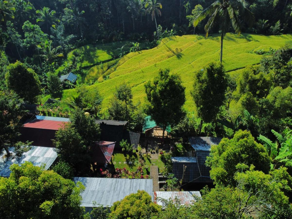 Friendly Homestay Lemukih Singaraja Екстериор снимка