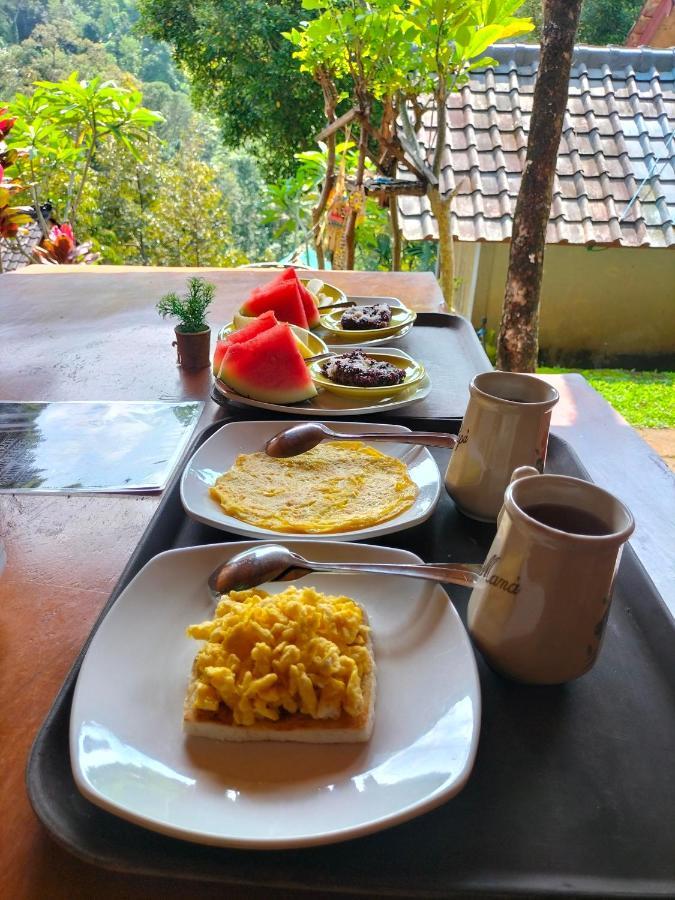 Friendly Homestay Lemukih Singaraja Екстериор снимка